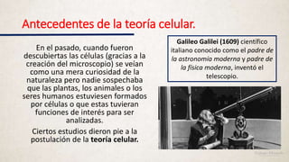 Antecedentes de la teoría celular.
En el pasado, cuando fueron
descubiertas las células (gracias a la
creación del microscopio) se veían
como una mera curiosidad de la
naturaleza pero nadie sospechaba
que las plantas, los animales o los
seres humanos estuviesen formados
por células o que estas tuvieran
funciones de interés para ser
analizadas.
Ciertos estudios dieron pie a la
postulación de la teoría celular.
Galileo Galilei (1609) científico
italiano conocido como el padre de
la astronomía moderna y padre de
la física moderna, inventó el
telescopio.
 