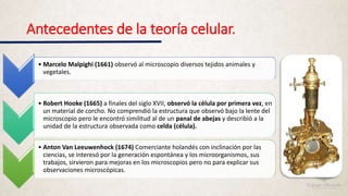 Antecedentes de la teoría celular.
• Marcelo Malpighi (1661) observó al microscopio diversos tejidos animales y
vegetales.
• Robert Hooke (1665) a finales del siglo XVII, observó la célula por primera vez, en
un material de corcho. No comprendió la estructura que observó bajo la lente del
microscopio pero le encontró similitud al de un panal de abejas y describió a la
unidad de la estructura observada como celda (célula).
• Anton Van Leeuwenhock (1674) Comerciante holandés con inclinación por las
ciencias, se interesó por la generación espontánea y los microorganismos, sus
trabajos, sirvieron para mejoras en los microscopios pero no para explicar sus
observaciones microscópicas.
 