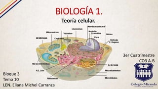 BIOLOGÍA 1.
Teoría celular.
Bloque 3
Tema 10
LEN. Eliana Michel Carranza
3er Cuatrimestre
CO3 A-B
 