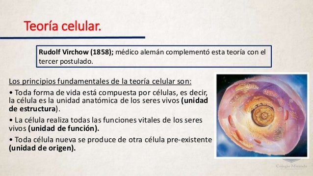 Teoría celular.