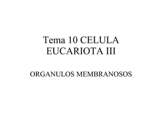 Tema 10 CELULA EUCARIOTA III ORGANULOS MEMBRANOSOS 