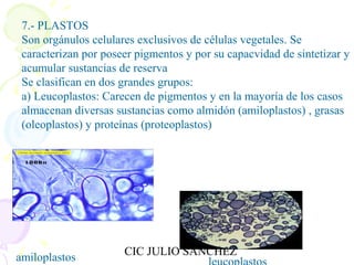 Tema 10 biologia | PPT | Endocrine and Metabolic Diseases | Diseases ...