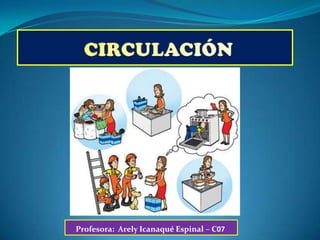 CIRCULACIÓN Profesora:  ArelyIcanaqué Espinal – C07 