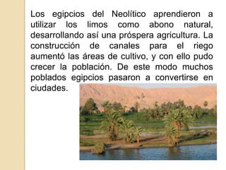 Los egipcios del Neolítico aprendieron a
utilizar los limos como abono natural,
desarrollando así una próspera agricultura. La
construcción de canales para el riego
aumentó las áreas de cultivo, y con ello pudo
crecer la población. De este modo muchos
poblados egipcios pasaron a convertirse en
ciudades.
 