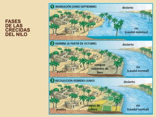 FASES
DE LAS
CRECIDAS
DEL NILO
 