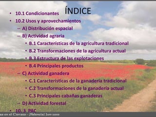 • 10.1 Condicionantes     ÍNDICE
• 10.2 Usos y aprovechamientos
   – A) Distribución espacial
   – B) Actividad agraria
  ...