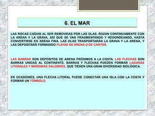 6. EL MAR
LAS ROCAS CAÍDAS AL SER REMOVIDAS POR LAS OLAS, ROZAN CONTINUAMENTE CON
LA ARENA Y LA GRAVA, ASÍ QUE SE VAN FRAGMENTANDO Y REDONDEANDO, HASTA
CONVERTIRSE EN ARENA FINA. LAS OLAS TRASPORTARÁN LA GRAVA Y LA ARENA, Y
LAS DEPOSITARÁ FORMANDO PLAYAS DE ARENA O DE CANTOS.
LAS BARRAS SON DEPÓSITOS DE ARENA PRÓXIMOS A LA COSTA. LAS FLECHAS SON
BARRAS UNIDAS AL CONTINENTE. BARRAS Y FLECHAS PUEDEN FORMAR LAGUNAS
LITORALES Y MARISMAS SALOBRES, QUE TIENEN UNA GRAN DIVERSIDAD BIOLÓGICA.
EN OCASIONES, UNA FLECHA LITORAL PUEDE CONECTAR UNA ISLA CON LA COSTA Y
FORMAR UN TÓMBOLO.
 