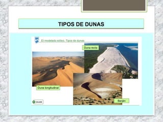 TIPOS DE DUNAS
 