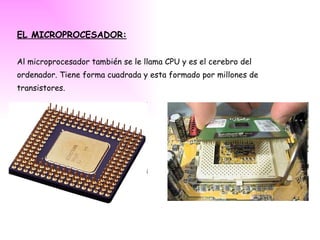 EL MICROPROCESADOR: Al microprocesador también se le llama CPU y es el cerebro del ordenador. Tiene forma cuadrada y esta formado por millones de transistores. 