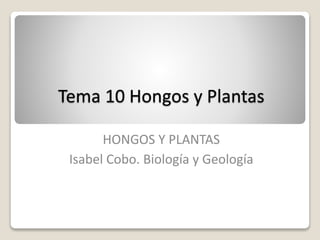 Tema 10 Hongos y Plantas
HONGOS Y PLANTAS
Isabel Cobo. Biología y Geología
 