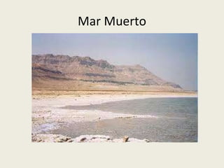 Mar Muerto