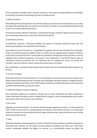 (ollos compostos chamados tamén ocelos) e alcanzan o maior grao de complexidade nos vertebrados.
Os estímulos luminosos interpretados orixinan o sentido da vista.
2. Ondas mecánicas.
Detectadaspormecanorreceptores.Sóosanimaiscáptanas;os animais terrestres detectan sons a través
dunórgano denominado oído,que aparece xanosinsectos.Con todo, é nos vertebrados terrestres onde
alcanza o seu máximo desenvolvemento. .
Os animais acuáticos detectan vibracións e movemento da auga, mediante órganos sensoriais como o
neuromasto que pertencen ao sistema de liña lateral dos peixes.
3. Substancias químicas.
As bolboretas nocturnas (chamadas avelaíñas) son capaces de detectar moléculas illadas coas súas
antenas, para atoparse ata a quilómetros de distancia.
Detectadas por quimiorreceptores. A capacidade de captalas está máis desenvolvida nos vertebrados.
Poden ser sustancias químicas volátiles, libres no medio, que son captadas polos receptores olfativos,
producindoasensacióndo cheiro.Taménpodensersubstanciasintroducidasnaboca,disoltas na saliva e
captadas polos receptores gustativos. En insectos é moi rechamante o caso das feromonas, que son
substancias químicas producidas por uns individuos que son captadas por outros; así sucede, por
exemplo, coas que producen moitos insectos femia para atraer aos machos.
Nos vertebrados o sentido do olfacto adoita estar no nariz, pero nos invertebrados adoita atoparse nas
antenas.
4. Posición no espazo.
Detectada tamén por mecanorreceptores. É moi importante en animais de vida activa ou naqueles que
debenmanterdeterminadaposiciónnoespazo.Nosvertebradossuperiores atópase no órgano do oído e
produce o sentidodo equilibrio,comoolabirintodosmamíferosouo otolitodospeixes,que lles permite
colocarse nunha posición correcta para nadar.
5. Estado dos órganos e funcións orgánicas.
Esta información cáptana uns receptores internos que se achan distribuídos por todo o organismo e
envíaninformacióndoestado en que se atopan todos os órganos, como os propioceptores que recollen
información sobre o ton muscular nos mamíferos.
6. Frío e calor
Captados por termorreceptores. Os animais detectan perdas e ganancias de calor, o cal forma parte do
tacto. Existen animais como as carrachascapaces de detectar a calor doutros animais, ou as serpes que
localizanassúas presascoa axudada fosaloreal,órganosituadonacara capaz de detectara caloremitida
polos seus posibles presas.
7. Tacto.
Detéctase mediante mecanorreceptores. Permite identificar formas e texturas, tamaños, temperatura,
orientación dun obxecto, etc. Na especie humana atópanse receptores por toda a pel e pola boca,
noutros vertebrados atópase nos bigotes ou vibrisas, e en invertebrados existen os palpos dos
 