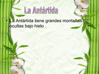 • La Antártida tiene grandes montañas
  ocultas bajo hielo .
 