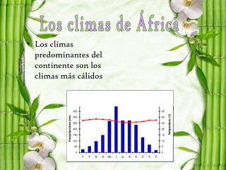 • Los climas
  predominantes del
  continente son los
  climas más cálidos
 