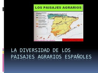 LA DIVERSIDAD DE LOS
PAISAJES AGRARIOS ESPAÑOLES
 