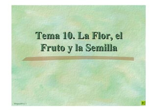 Diapositiva 1
Tema 10. La Flor, el
Fruto y la Semilla
Tema 10. La Flor, elTema 10. La Flor, el
Fruto y la SemillaFruto y la Semilla
 