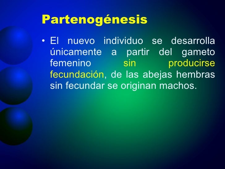 Tema 10 la reproduccion en animales
