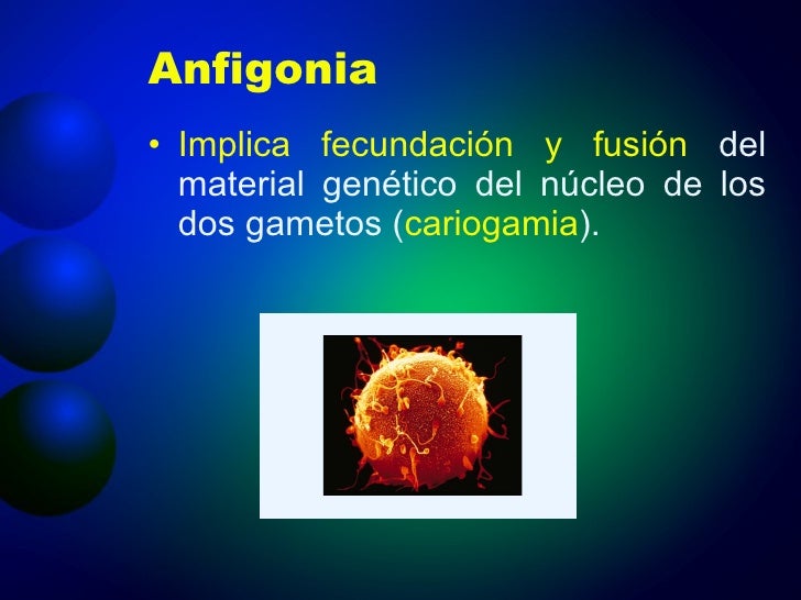 Tema 10 la reproduccion en animales