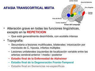 AFASIA TRANSCORTICAL MIXTAAFASIA TRANSCORTICAL MIXTA
• Alteración grave en todas las funciones lingüísticas,
excepto en la REPETICION
– Que está generalmente desinhibida, con ecolalia intensa
• Topografía:
– Secundaria a lesiones multifocales, bilaterales: intoxicación por
monóxido de C, hipoxia, infartos múltiples
– Lesiones unilaterales izquierdas de localización variable entre las
arterias cerebral-anterior / media / posterior
– Estadio final de la Enfermedad de Alzheimer
– Estadio final de la Degeneración Fronto-Temporal
– Estadio final en Demencias no-específicas
 