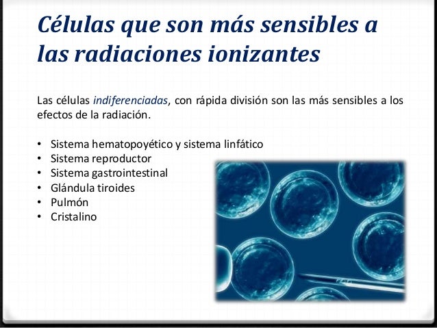 Resultado de imagen para aparato digestivo radicación ionizante