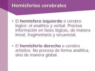 Hemisferios cerebrales
• El hemisfero izquierdo o cerebro
lógico: el analítico y verbal. Procesa
información en fases lógicas, de manera
lineal, fragmentaria y secuencial.
• El hemisferio derecho o cerebro
artístico: No procesa de forma analítica,
sino de manera global.
 