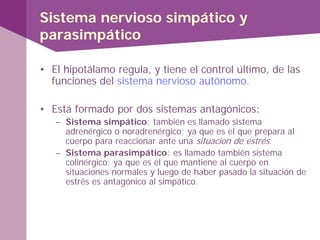 • El hipotálamo regula, y tiene el control último, de las
funciones del sistema nervioso autónomo.
• Está formado por dos sistemas antagónicos:
– Sistema simpático: también es llamado sistema
adrenérgico o noradrenérgico; ya que es el que prepara al
cuerpo para reaccionar ante una situacion de estrés.
– Sistema parasimpático: es llamado también sistema
colinérgico; ya que es el que mantiene al cuerpo en
situaciones normales y luego de haber pasado la situación de
estrés es antagónico al simpático.
Sistema nervioso simpático y
parasimpático
 