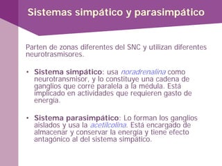 Sistemas simpático y parasimpático
Parten de zonas diferentes del SNC y utilizan diferentes
neurotrasmisores.
• Sistema simpático: usa noradrenalina como
neurotransmisor, y lo constituye una cadena de
ganglios que corre paralela a la médula. Está
implicado en actividades que requieren gasto de
energía.
• Sistema parasimpático: Lo forman los ganglios
aislados y usa la acetilcolina. Está encargado de
almacenar y conservar la energía y tiene efecto
antagónico al del sistema simpático.
 