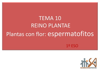 TEMA 10
          REINO PLANTAE
Plantas con flor: espermatofitos
                     1º ESO
 