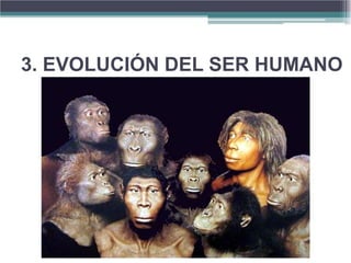 3. EVOLUCIÓN DEL SER HUMANO
 