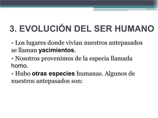 3. EVOLUCIÓN DEL SER HUMANO
• Los lugares donde vivían nuestros antepasados
se llaman yacimientos.
• Nosotros provenimos de la especia llamada
homo.
• Hubo otras especies humanas. Algunos de
nuestros antepasados son:
 