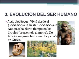 3. EVOLUCIÓN DEL SER HUMANO
• Australopitecus. Vivió desde el
  5.000.000 a.C. hasta 1.000.000 a.C.
  Aún pasaba cierto tiempo en los
  árboles (se asemeja al mono). No
  fabrica ninguna herramienta y vivió
  en África.
 