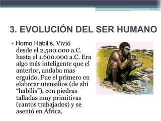 3. EVOLUCIÓN DEL SER HUMANO
• Homo Habilis. Vivió
  desde el 2.500.000 a.C.
  hasta el 1.600.000 a.C. Era
  algo más inteligente que el
  anterior, andaba mas
  erguido. Fue el primero en
  elaborar utensilios (de ahí
  “habilis”), con piedras
  talladas muy primitivas
  (cantos trabajados) y se
  asentó en África.
 