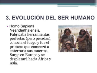 3. EVOLUCIÓN DEL SER HUMANO
• Homo Sapiens
  Neanderthalensis.
  Fabricaba herramientas
  perfectas (pero pesadas),
  conocía el fuego y fue el
  primero que comenzó a
  enterrar a sus muertos.
  Surge en Europa y se
  desplazará hacia África y
  Asia.
 