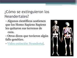 ¿Cómo se extinguieron los
Neandertales?
• Algunos científicos sostienen
que los Homo Sapiens Sapiens
les quitaron sus terrenos de
  caza.
• Otros dicen que tuvieron algún
fallo genético.
• Video extinción Neandertal.
 