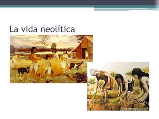La vida neolítica
 