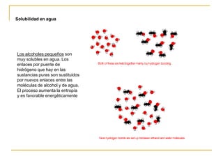 Solubilidad en agua




Los alcoholes pequeños son
muy solubles en agua. Los
enlaces por puente de
hidrógeno que hay en las
sustancias puras son sustituidos
por nuevos enlaces entre las
moléculas de alcohol y de agua.
El proceso aumenta la entropía
y es favorable energéticamente
 