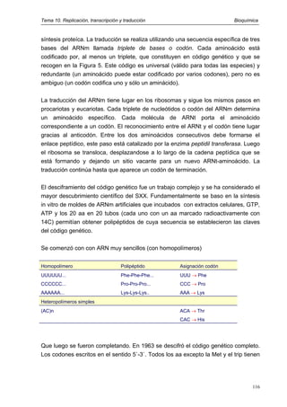 Tema 10. Replicación, transcripción y traducción Bioquímica
síntesis proteíca. La traducción se realiza utilizando una secuencia específica de tres
bases del ARNm llamada triplete de bases o codón. Cada aminoácido está
codificado por, al menos un triplete, que constituyen en código genético y que se
recogen en la Figura 5. Este código es universal (válido para todas las especies) y
redundante (un aminoácido puede estar codificado por varios codones), pero no es
ambiguo (un codón codifica uno y sólo un aminácido).
La traducción del ARNm tiene lugar en los ribosomas y sigue los mismos pasos en
procariotas y eucariotas. Cada triplete de nucleótidos o codón del ARNm determina
un aminoácido específico. Cada molécula de ARNt porta el aminoácido
correspondiente a un codón. El reconocimiento entre el ARNt y el codón tiene lugar
gracias al anticodón. Entre los dos aminoácidos consecutivos debe formarse el
enlace peptídico, este paso está catalizado por la enzima peptidil transferasa. Luego
el ribosoma se transloca, desplazandose a lo largo de la cadena peptídica que se
está formando y dejando un sitio vacante para un nuevo ARNt-aminoácido. La
traducción continúa hasta que aparece un codón de terminación.
El desciframiento del código genético fue un trabajo complejo y se ha considerado el
mayor descubrimiento científico del SXX. Fundamentalmente se baso en la síntesis
in vitro de moldes de ARNm artificiales que incubados con extractos celulares, GTP,
ATP y los 20 aa en 20 tubos (cada uno con un aa marcado radioactivamente con
14C) permitían obtener polipéptidos de cuya secuencia se establecieron las claves
del código genético.
Se comenzó con con ARN muy sencillos (con homopolímeros)
Homopolímero Polipéptido Asignación codón
UUUUUU... Phe-Phe-Phe... UUU → Phe
CCCCCC... Pro-Pro-Pro... CCC → Pro
AAAAAA... Lys-Lys-Lys.. AAA → Lys
Heteropolímeros simples
(AC)n ACA → Thr
CAC → His
Que luego se fueron completando. En 1963 se descifró el código genético completo.
Los codones escritos en el sentido 5`-3`. Todos los aa excepto la Met y el trip tienen
116
 