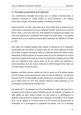 Tema 10. Replicación, transcripción y traducción Bioquímica
3.1. Principales características de la replicación
Las características principales del proceso son: su carácter semiconservador, la
realización simultanea en ambas hebras, de forma secuencial y con carácter
bidireccional y origen monfocal (procariotas) o multifocal (eucariotas).
Semiconservador. Es decir cada hebra sirve como molde para la síntesis de una
nueva cadena, produciendo dos nuevas moléculas de ADN, cada una con una de las
hebras viejas y una nueva hebra hija. Esta hipótesis fue propuesta pro Watson and
Crick poco después de la publicación del modelo de la doble hélice, y fue probado
definitivamente por los ingeniosos experimentos diseñados por Meselson and Stahl
en 1957.
Solo caben tres posibles hipóteisis para explicar el mecanismo de la repiclación:
conservadora (las dos hebras se copiaran para dar una nueva molécula, de forma
que el ADN progenitor permanece intacto y el ADN hijo tendría dos hebras nueva),
dispersante (el ADN progenitor se rompería antes de que se sintetizaran los nuevos
fragmentos de ADN, estos luego se unirían a los fragmentos originales para dar ADN
hijos con fragmentos tanto nuevos como de las dos hebras del progenitor) y
semiconservadora (Las dos nuevas moléculas de ADN formadas tienen cada una
una hebra vieja y una hebra nueva).
Meselson and Stahl cultivaron células de E.coli en medio con N15 (isótopo pesado
de N14) durante muchas generaciones, hasta que todo el ADN de E. coli estuviera
marcado con N15. El ADN aislado de estas células tenía una densidad un 1% mayor
que el ADN normal con N14. Esta pequeña diferencia puede apreciarse en una
centrifugación en gradiente de densidad CsCl.
Las células de E. coli cultivadas con N15 se transfierieron a medio fresco con N14, y
se dejaron crecer durante el tiempo suficiente para que la población se duplicara. El
ADN aislado de estas células formaba una sola banda en la centrifugación en
gradiente. Esto eliminaba al hipótesis de la replicación conservadora. Si las células
de E. coli se dejaban en el medio fresco con N14 durante dos generaciones se
observaban en la centrifugacion en gradiente dos bandas. Una con la densidad
109
 