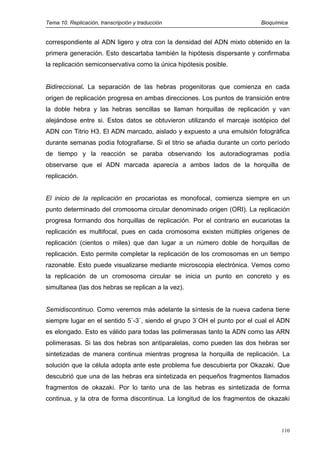 Tema 10. Replicación, transcripción y traducción Bioquímica
correspondiente al ADN ligero y otra con la densidad del ADN mixto obtenido en la
primera generación. Esto descartaba también la hipótesis dispersante y confirmaba
la replicación semiconservativa como la única hipótesis posible.
Bidireccional. La separación de las hebras progenitoras que comienza en cada
origen de replicación progresa en ambas direcciones. Los puntos de transición entre
la doble hebra y las hebras sencillas se llaman horquillas de replicación y van
alejándose entre si. Estos datos se obtuvieron utilizando el marcaje isotópico del
ADN con Titrio H3. El ADN marcado, aislado y expuesto a una emulsión fotográfica
durante semanas podía fotografiarse. Si el titrio se añadia durante un corto período
de tiempo y la reacción se paraba observando los autoradiogramas podía
observarse que el ADN marcada aparecía a ambos lados de la horquilla de
replicación.
El inicio de la replicación en procariotas es monofocal, comienza siempre en un
punto determinado del cromosoma circular denominado origen (ORI). La replicación
progresa formando dos horquillas de replicación. Por el contrario en eucariotas la
replicación es multifocal, pues en cada cromosoma existen múltiples orígenes de
replicación (cientos o miles) que dan lugar a un número doble de horquillas de
replicación. Esto permite completar la replicación de los cromosomas en un tiempo
razonable. Esto puede visualizarse mediante microscopia electrónica. Vemos como
la replicación de un cromosoma circular se inicia un punto en concreto y es
simultanea (las dos hebras se replican a la vez).
Semidiscontinuo. Como veremos más adelante la síntesis de la nueva cadena tiene
siempre lugar en el sentido 5`-3`, siendo el grupo 3`OH el punto por el cual el ADN
es elongado. Esto es válido para todas las polimerasas tanto la ADN como las ARN
polimerasas. Si las dos hebras son antiparalelas, como pueden las dos hebras ser
sintetizadas de manera continua mientras progresa la horquilla de replicación. La
solución que la célula adopta ante este problema fue descubierta por Okazaki. Que
descubrió que una de las hebras era sintetizada en pequeños fragmentos llamados
fragmentos de okazaki. Por lo tanto una de las hebras es sintetizada de forma
continua, y la otra de forma discontinua. La longitud de los fragmentos de okazaki
110
 