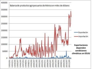 Exportaciones
dependen
condiciones
climáticas en EEUU
 