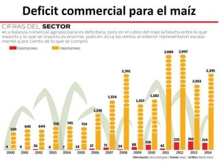 Deficit commercial para el maíz
 
