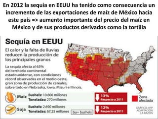 En 2012 la sequia en EEUU ha tenido como consecuencia un
incremento de las exportaciones de maíz de México hacia
este país => aumento importante del precio del maíz en
México y de sus productos derivados como la tortilla
 
