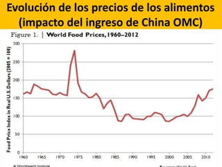 Evolución de los precios de los alimentos
(impacto del ingreso de China OMC)
 