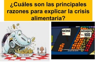 ¿Cuáles son las principales
razones para explicar la crisis
alimentaria?
 