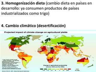 3. Homogenización dieta (cambio dieta en países en
desarrollo: ya consumen productos de países
industrializados como trigo)
4. Cambio climático (desertificación)
 