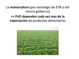 La monocultura (por estrategia de ETN o del
mismo gobierno)
=> PVD dependen cada vez mas de la
importación de productos alimentarios
 