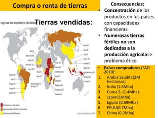 Compra o renta de tierras
• Países compradores (FAO
2010):
1. Arabia Saudita(2M
hectareas)
2. India (1.6Mha)
3. Corea S. (1.4Mha)
4. Japon(1Mha)
5. Egipto (0.89Mha)
6. EEUU(0.7Mha)
7. China (0.3Mha)
Tierras vendidas:
Consecuencias:
• Concentración de los
productos en los países
con capacidades
financieras
• Numerosas tierras
fértiles no son
dedicadas a la
producción agrícola=>
problema ético
 