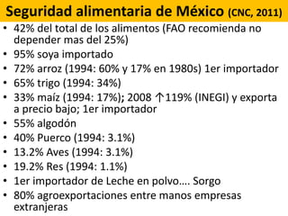 Seguridad alimentaria de México (CNC, 2011)
• 42% del total de los alimentos (FAO recomienda no
depender mas del 25%)
• 95% soya importado
• 72% arroz (1994: 60% y 17% en 1980s) 1er importador
• 65% trigo (1994: 34%)
• 33% maíz (1994: 17%); 2008 ↑119% (INEGI) y exporta
a precio bajo; 1er importador
• 55% algodón
• 40% Puerco (1994: 3.1%)
• 13.2% Aves (1994: 3.1%)
• 19.2% Res (1994: 1.1%)
• 1er importador de Leche en polvo…. Sorgo
• 80% agroexportaciones entre manos empresas
extranjeras
 