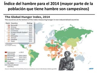 Índice del hambre para el 2014 (mayor parte de la
población que tiene hambre son campesinos)
 