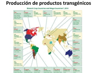 Producción de productos transgénicos
 